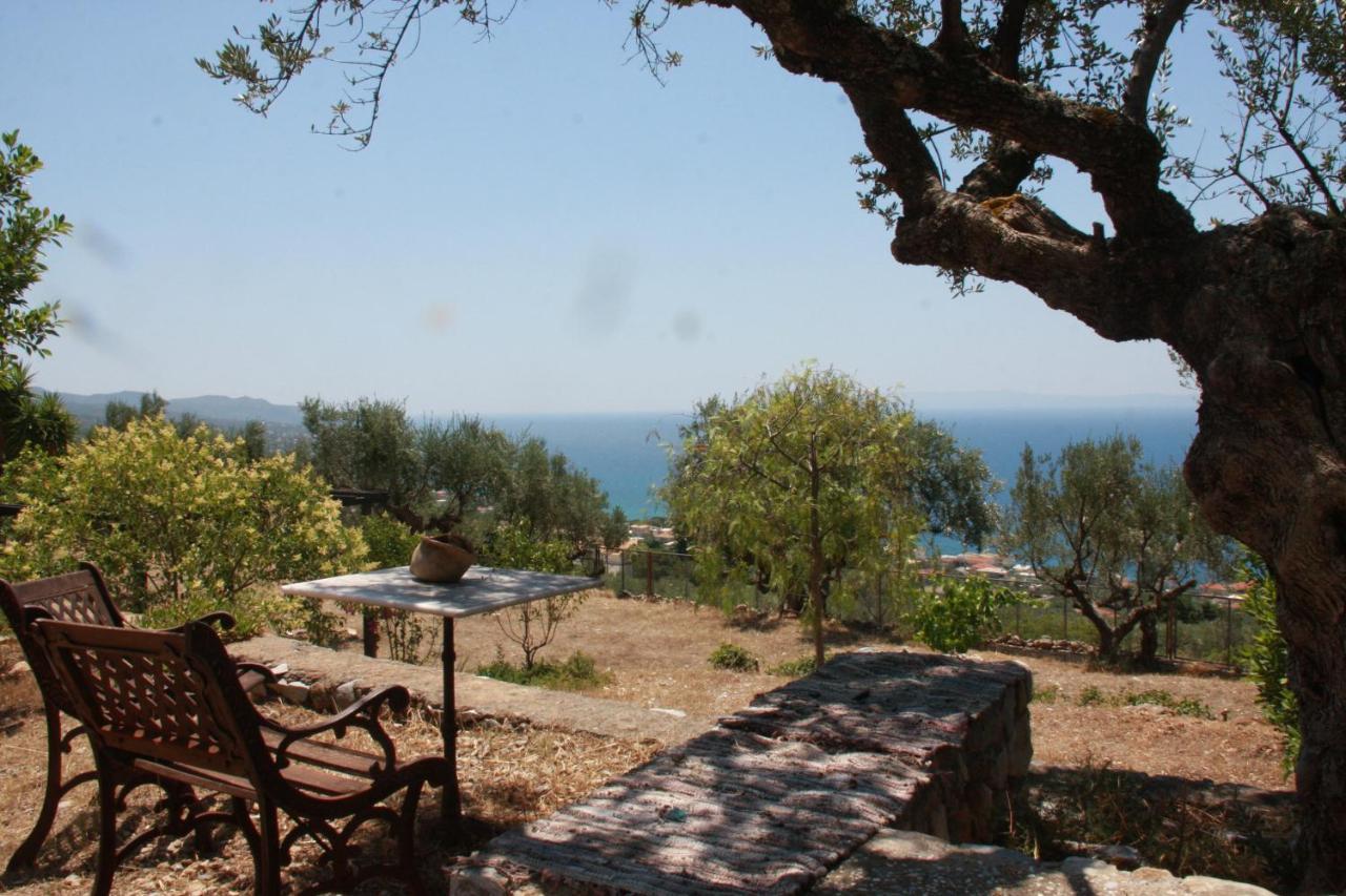 Sea And Mountain View