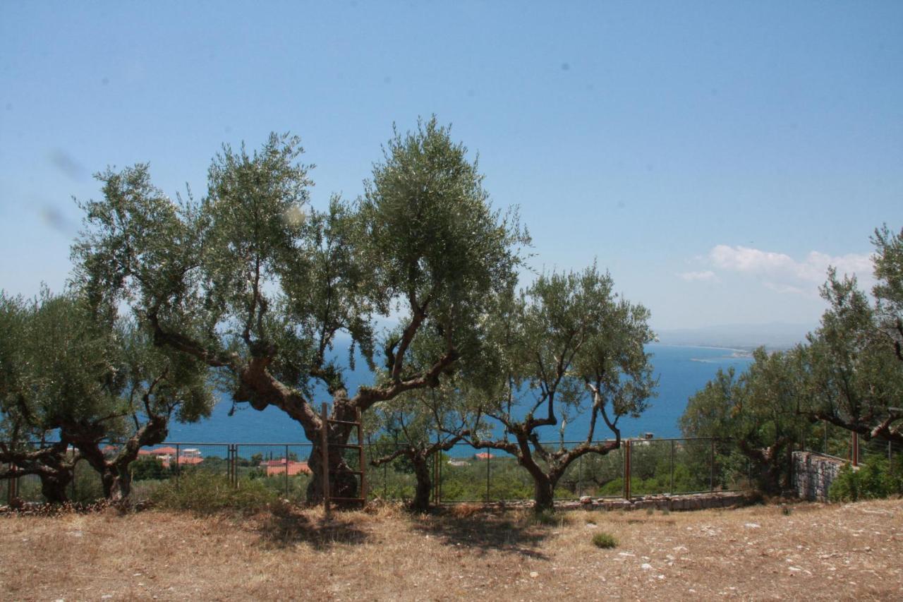 Sea And Mountain View * Kalamata